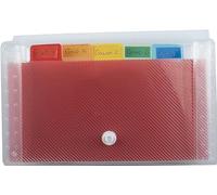 Exacompta 55498E - Clasificador pocket 6 compartimentos en polipropileno, 11 x 18 cm, blanco transparente