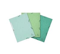 Exacompta - 55573E - Set de 3 subcarpetas con gomas elásticas 3 solapas cartulina brillo 400g/m2 - dimensiones 24 x 32 cm para documentos formato A4-3 colores naturales: carpeta, verde, verde pastel