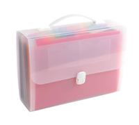 Exacompta 55698e carpeta maletín con asa de 24 compartimentos en Polypro 33 x 29 cm MULTICOULEUR cristal