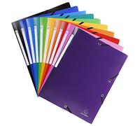 Exacompta 55840E - Pack de 10 carpetas con gomas y 3 solapas, 24 x 32 cm