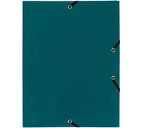Exacompta 55903E - Carpeta con goma, color verde