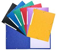 Exacompta - 5590E - Caja de 20 subcarpetas elásticas sin solapa - Cartulina brillo gofrado Scotten 600g/m2 - A4 - Colores surtidos