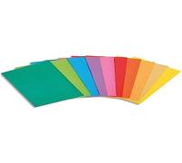 Exacompta 800001E - Lote de 100 Subcarpetas Rock"S 80, Multicolor, 22 x 31 cm