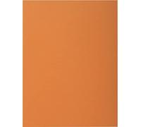 Exacompta 800014E - Lote de 100 Subcarpetas Rock"S 80, Color Habana