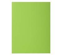 Exacompta 807013E - Lote de 30 Subcarpetas Rock"S 80, Color Verde Claro