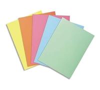 Exacompta 850000E Super 60 Subcarpetas de papel, 60 g/ m², Colores Surtidos, 22 x 31 cm, Paquete de 250