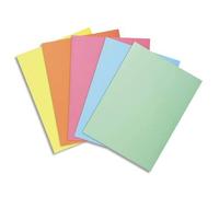 Exacompta 850100E - Cartón de 10 paquetes de 100 camisetas SUPER 60 g-m2 en colores pastel - en camisas con certificación PEFC - Medidas 22 x 31 cm para tamaño A4-5 colores surtidos