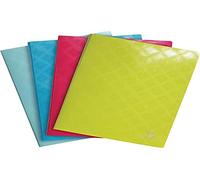 Exacompta - 86230E - 1 carpeta de fundas 1928-30 fundas lisas de cristal - 60 vistas - para A4 - tamaño 24 x 32 cm - funda semirrígida opaca de polypro gofrado - 4 colores aleatorios
