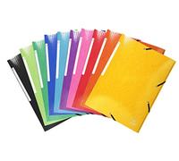 Exacompta 55929E - Pack de 25 carpetas con goma, A4, color surtido