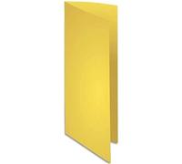 Exacompta Flash 220 - Paquete de 100 subcarpetas, 24 x 32 cm, color amarillo