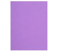 Exacompta Flash 220 - Paquete de 100 subcarpetas, 24 x 32 cm, color lila