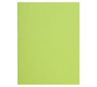 Exacompta Flash 220 - Paquete de 100 subcarpetas, 24 x 32 cm, color verde tila