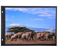 Exacompta Recambios Recambio para álbum con Tornillo Hojas Negras, 22 x 31,5 cm, Color