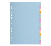 Exacompta - Ref. 2620E - Caja de 20 separadores en tarjeta pastel de 170 g/m2 Forever con 20 pestañas neutras - Tamaño A4 - Dimensiones 22,5 x 29,7 cm - Colores surtidos pastel