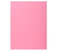 Exacompta - Ref. 339003E - Caja de 5 paquetes de 50 camisas rígidas con 1 solapa SUPER 210 g/m² - colores pastel - camisas certificadas PEFC™ - dim 24 x 32 cm para tamaño A4 - color rosa
