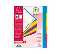 Exacompta - Ref 3806E - Caja de 25 separadores semiopacos de polipropileno rígido con 6 pestañas Campus Neutral - Página de indexación imprimible - Formato de archivo A4 Maxi - Colores translúcidos