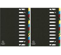 Exacompta - Ref. 55121E - 1 Carpeta de clasificación HARMONIKA - con bandas elásticas y ventanas recortadas - Cubierta en cartón brillante - respaldo ampliable - 12 bolsillos - para A4 - tamaño 24,5 x