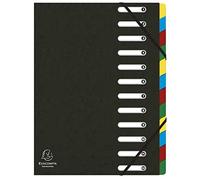 Exacompta - Ref. 55121E - 1 Carpeta de clasificación HARMONIKA - con bandas elásticas y ventanas recortadas - Cubierta en cartón brillante - respaldo ampliable - 12 bolsillos - para A4 - tamaño 24,5 x