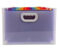 Exacompta - Ref. 55198E - Caja de 4 clasificadores, maleta extensible con asas - cubierta e interior de PP - con 2 portaetiquetas en la cara - 24 compartimentos - Dim 33 x 23,5 x 25 cm - Cristal