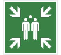 Exacompta - Ref. 67120E - 1 panel adhesivo para puntos de montaje - En vinilo tratado antideslizante y resistente a los rayos UV - Diámetro del panel: 30 cm - Color: verde