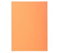 Exacompta - Ref. 850102E - Caja de 10 paquetes de 100 camisetas SUPER 60 g/m2 en colores pastel - en camisas certificadas PEFC™ - Medidas 22 x 31 cm para tamaño A4 - Color burbuja