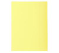 Exacompta - Ref. 850105E - Cartón de 10 paquetes de 100 camisetas SUPER 60 g/m2 en colores pastel - en camisas certificadas PEFC™ - Medidas 22 x 31 cm para tamaño A4 - color canario