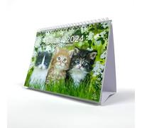Exacompta - Ref GS046Z - Calendario de escritorio/planificador mensual con diseño de gato, mes por página, incluye días festivos del Reino Unido, 210 mm x 150 mm, se mantiene de forma segura en un