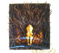 Exalted Are the Seven Throne Bearers of Ninnkigal