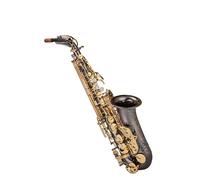 Examen De Desempeño Profesional Para Principiantes Del Instrumento De Saxofón Alto En Mi Bemol. Beginner Saxofón