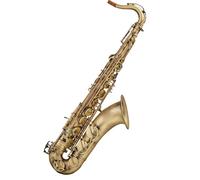 Examen De Desempeño Profesional Para Principiantes Del Instrumento Saxofón Tenor En Si Bemol Beginner Saxofón