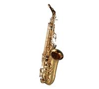Examen General Para Principiantes Del Instrumento De Saxofón Alto En Mi Bemol Para Interpretación De Adultos.