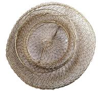 EXAOMBLE Jaula Metálica Galvanizada Red Resistente y Protección Anticolgante, Cesta para Pescar Peces y Mariscos, Accesorio para Pesca Deportiva y Profesional