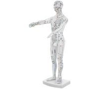 EXAOMBLE Modelo de Puntos de Acupuntura Humano Blanco de Plástico para Entrenamiento en Acupuntura Visualización de Meridianos, Adecuado para Profesionales y Estudiantes en Casa