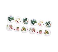 EXCEART 12 Cajas Decoración Floral Arte Decoración Para Calcomanías Flores Secas Manicura Pegatinas D DIY Nail Mini Suministros Tipo Mezclado Natural Prensado Encantador Secado Accesorios