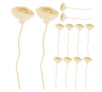 EXCEART 12 Piezas Varillas Difusoras de Flores, Difusor de Aroma en Barra Cabezas de Flores Artificiales, Beige, Papel de Médula y Madera, Recargables, para Fragancias Líquidas y Aceites