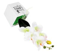 EXCEART Bonsái de Orquídea Polilla Artificial, Flor Artificial en Maceta para Escritorio, Blanco, Plástico, Decoración Realista, Simulación, Portátil, para Oficina y Dormitorio