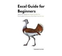 Excel Guide for Beginners: Absolute Beginner Excel Guide For Formulas Functions And Real World Use