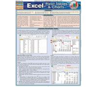 Excel: Pivot Tables & Charts (Quick Study Computer)
