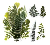 ExceLife Calcomanías autoadhesivas para álbumes de recortes de plantas de flores de gran tamaño, calcomanías transparentes de PET, planificador de diario de balas basura, helecho
