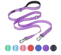 EXCELLENT ELITE SPANKER 5FT Correa Doble Correa de Nylon Reflectante Correa Múltiple con Mango Acolchado para Dos Perros Entrenamiento Correr(PUL)