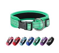 EXCELLENT ELITE SPANKER Classic PU Material Collar de Mascotas con Hebilla Ajustable para Pequeños Medianos Grandes Perros Paseos Entrenamiento Negro Rojo Azul(GRN-L)