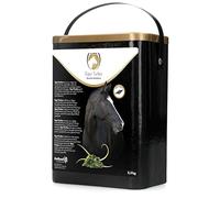 Excellent Equi Turbo Muscle stimulant - Estimula el crecimiento muscular de forma natural, apoya el desarrollo muscular y aumenta el rendimiento - Adecuado para caballos - 2,5 kg