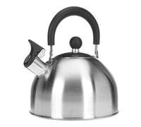 Excellent Houseware Tetera Clásica Inoxidable 2.5 L Ø19 x 12 cm Apta Gas y Vitrocerámica