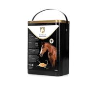 Excellent Sand-Exit Muesli - 1,5 kg - Caballos de Apoyo intestinal - para una eliminación óptima de la Arena y para favorecer el tránsito intestinal