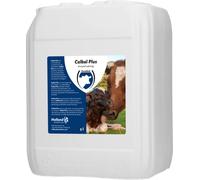 EXCELLENT Suministros Para El Cuidado De La Salud Calbal Plus