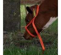 EXCELLENT Suministros Para El Cuidado De La Salud Halter Heifer Ajustable Ancho Naranja