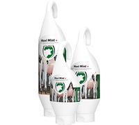 Excellent Suministros para El Cuidado De La Salud Maxi Mint Plus Pasado - / Botella Colgante