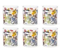Excelsa Afrika - Juego de 6 vasos, cristal, capacidad 250 ml.