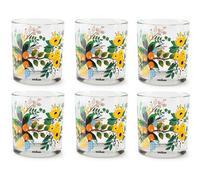 Excelsa Fiori Frida - Juego de 6 vasos, cristal, capacidad 250 ml.