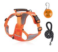 Exclent Arnés reflectante para perro con correa, amarillo, correa de pecho de malla ajustable, diseño antideslizante para perros pequeños y medianos, seguridad nocturna (naranja)